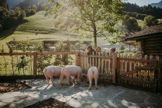 Familien Natur Resort Moar Gut