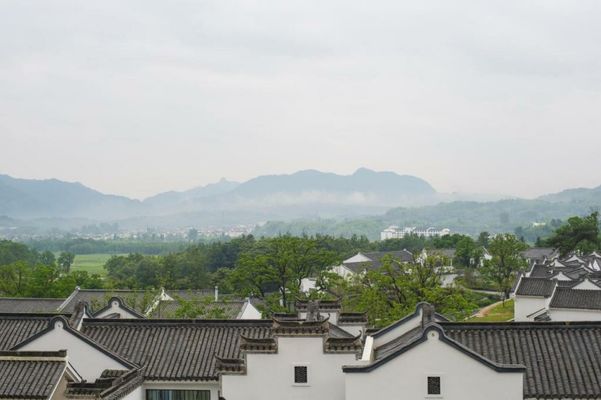 Banyan Tree Huangshan