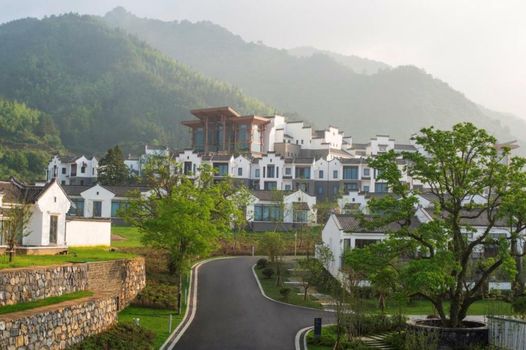 Banyan Tree Huangshan