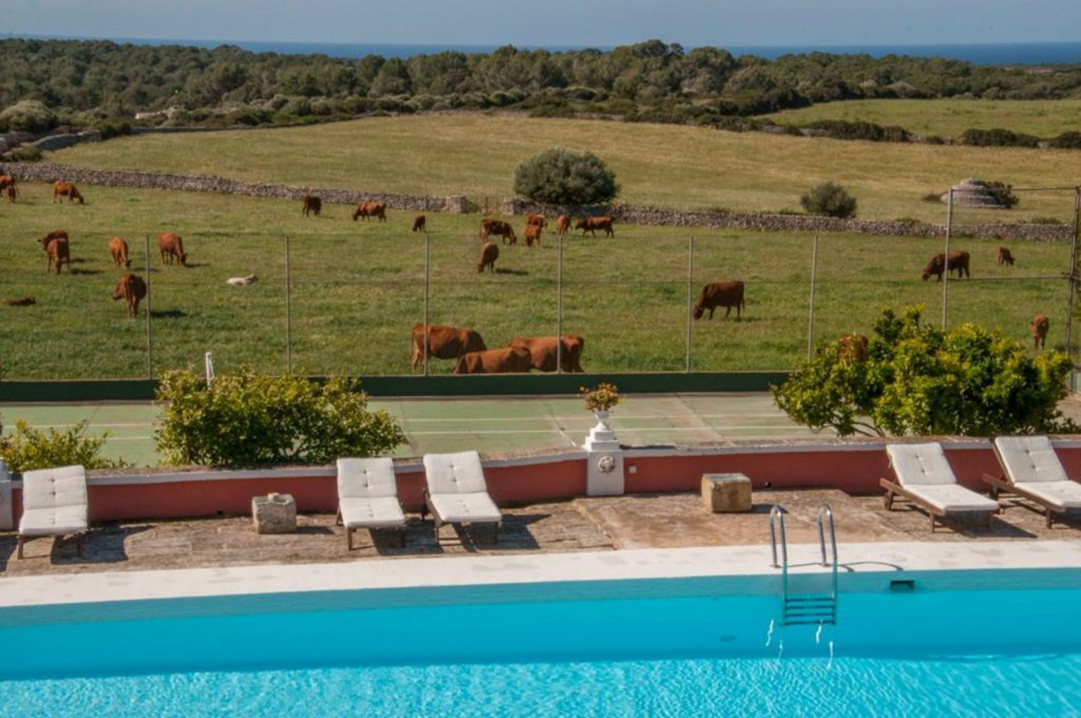 Agroturismo Son Triay