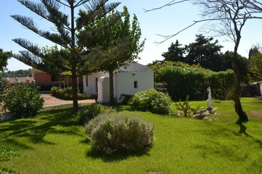 Agroturismo Son Triay