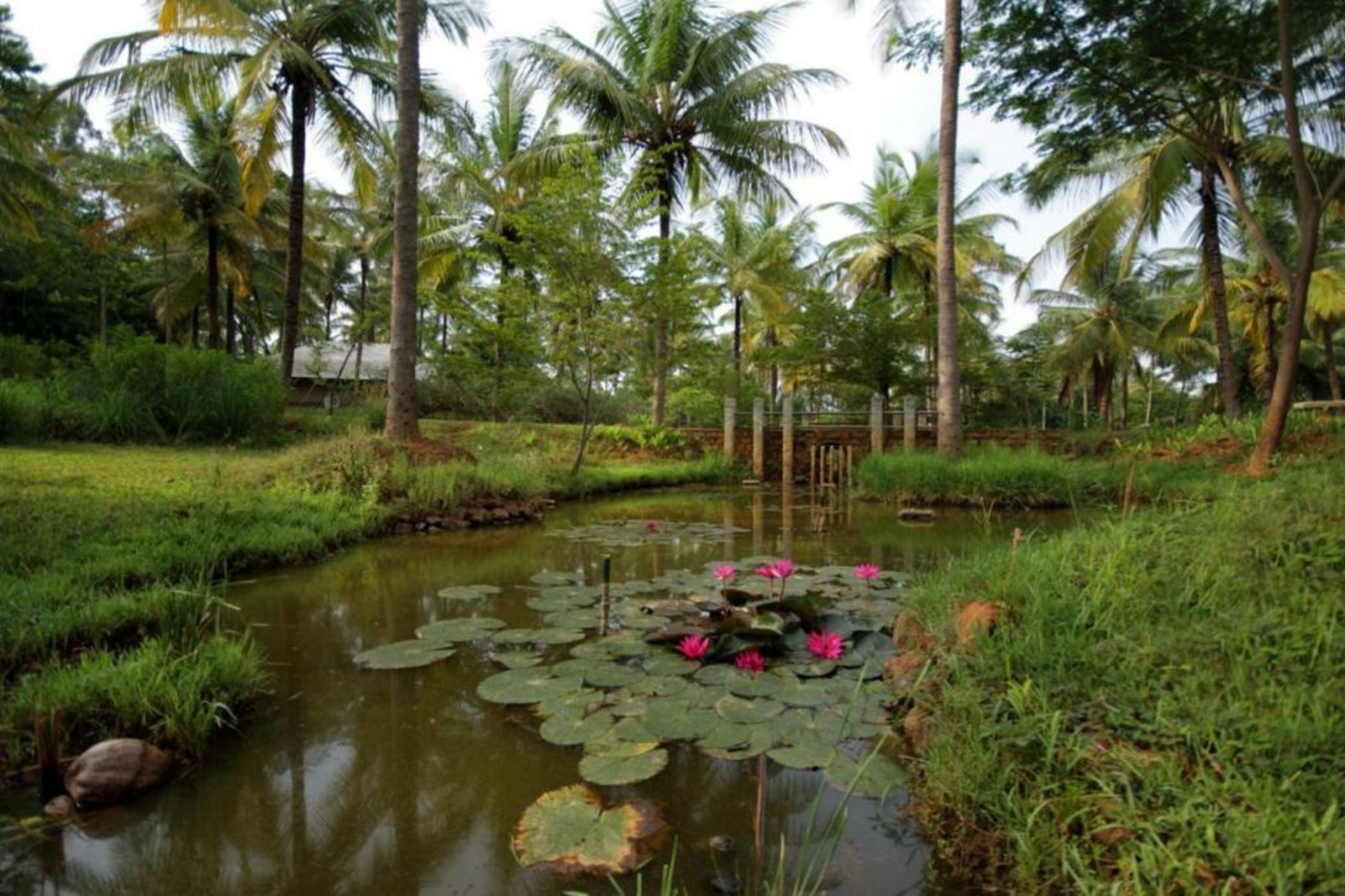 Shreyas Retreat