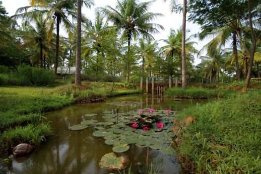 Shreyas Retreat
