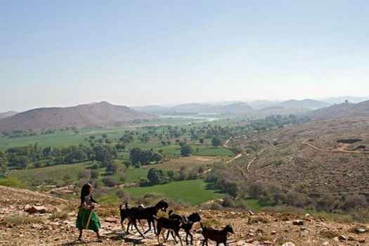 Ramathra Fort- 60 km from Ranthambore