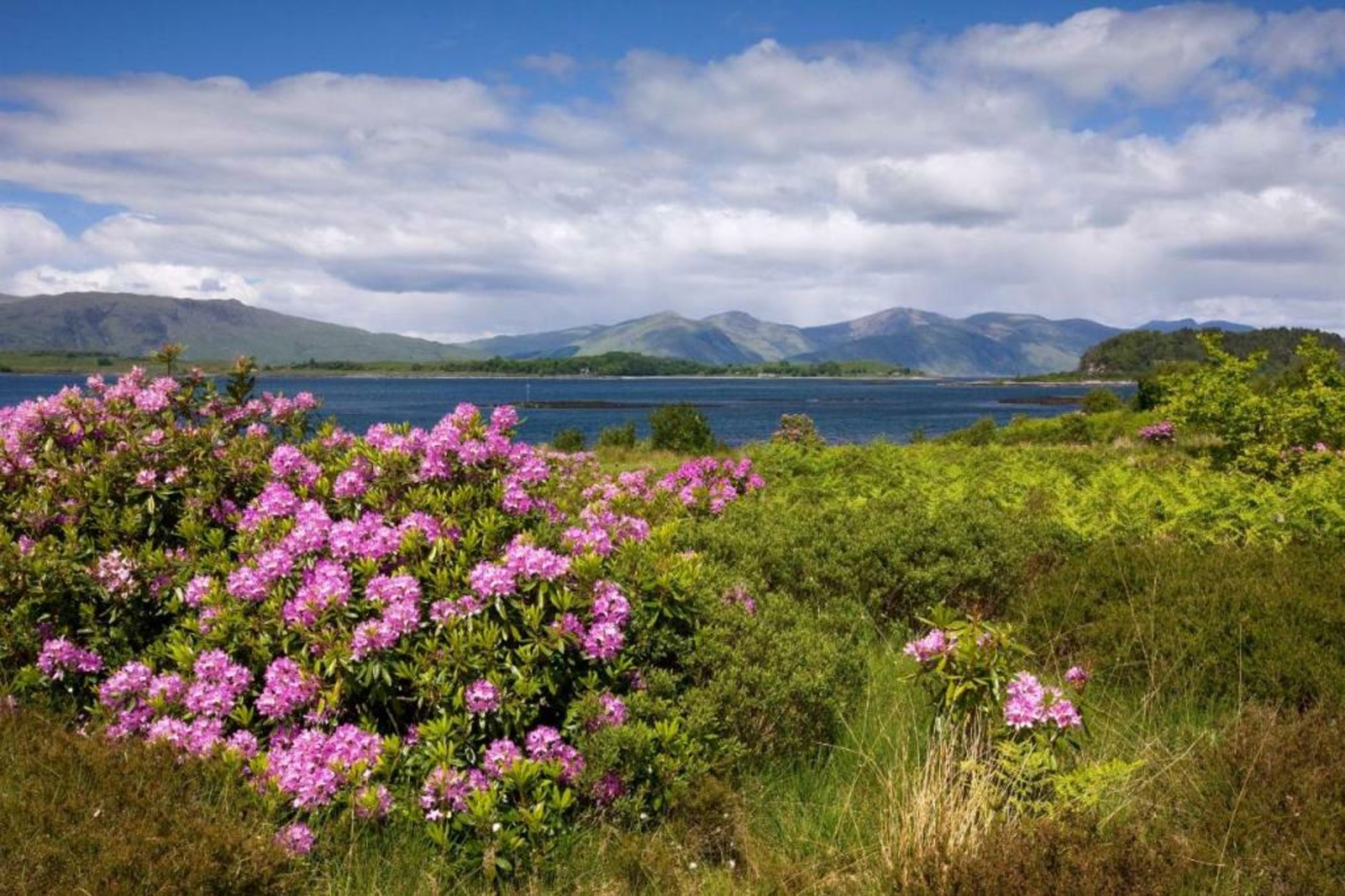 Isle of Eriska Hotel Spa & Island