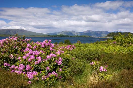 Isle of Eriska Hotel Spa & Island