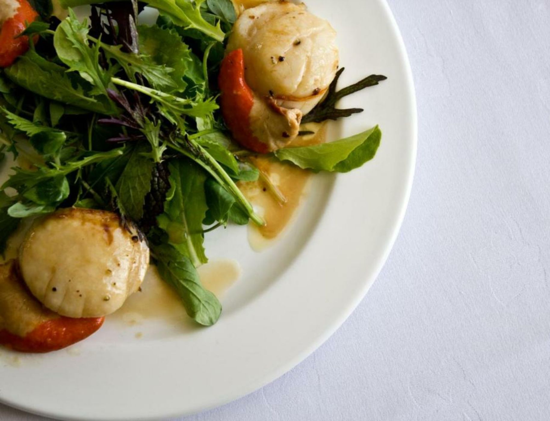 Cavens Country House, DINNER INCLUSIVE!