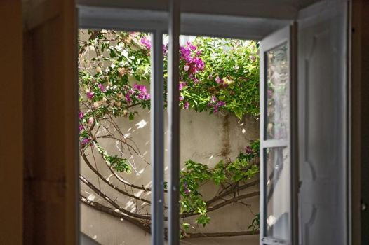 Relais Corte Palmieri & Il Chiostro - Residenza d'epoca