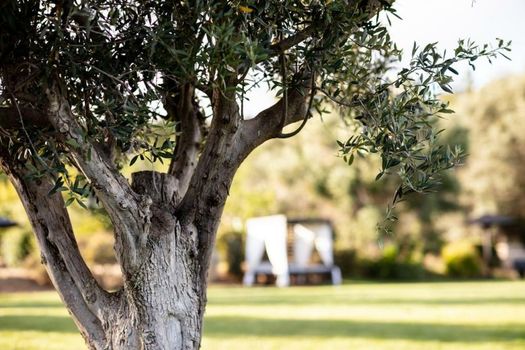Vila Valverde Design Country Hotel