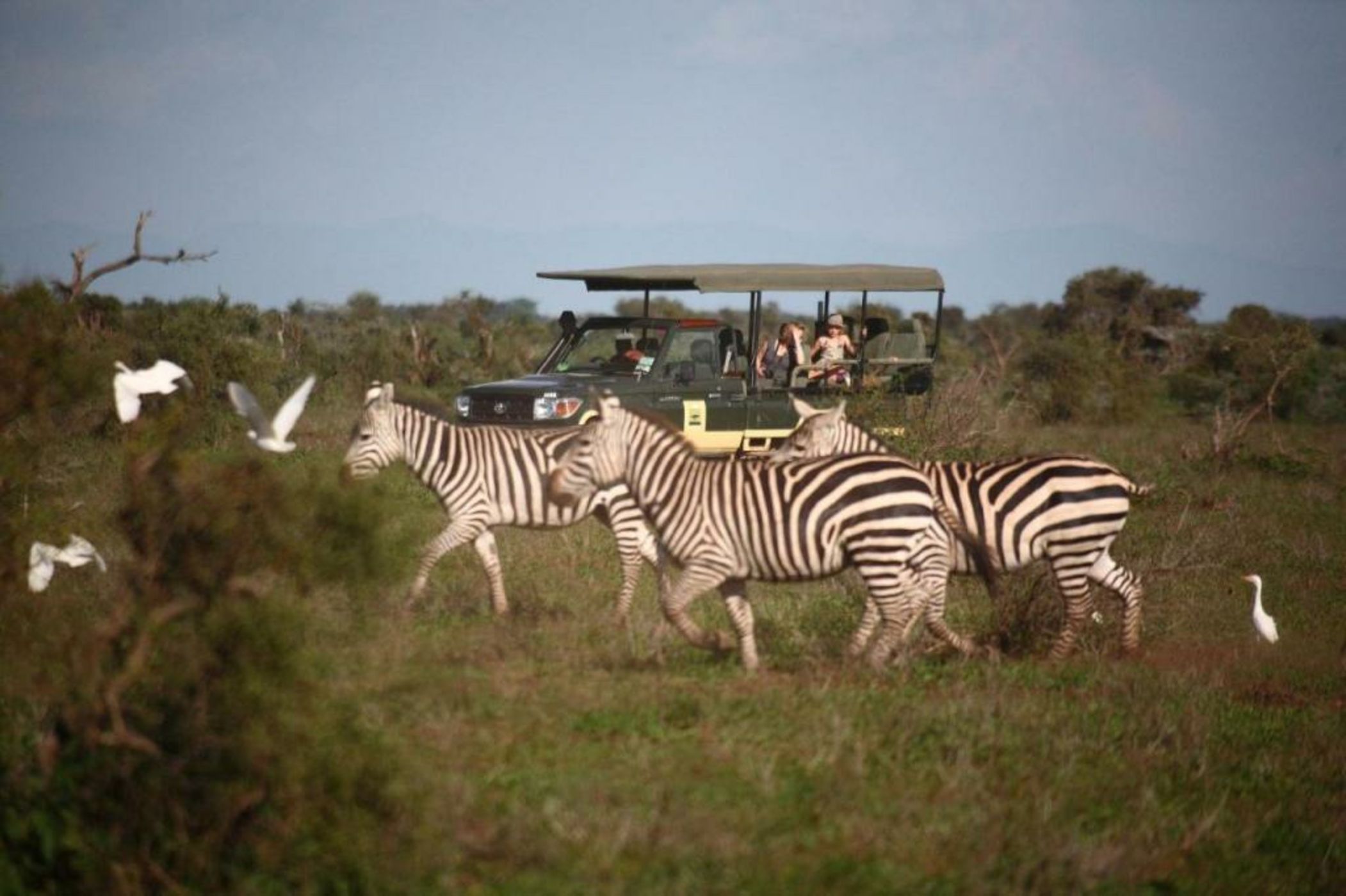 Elewana Tortilis Camp