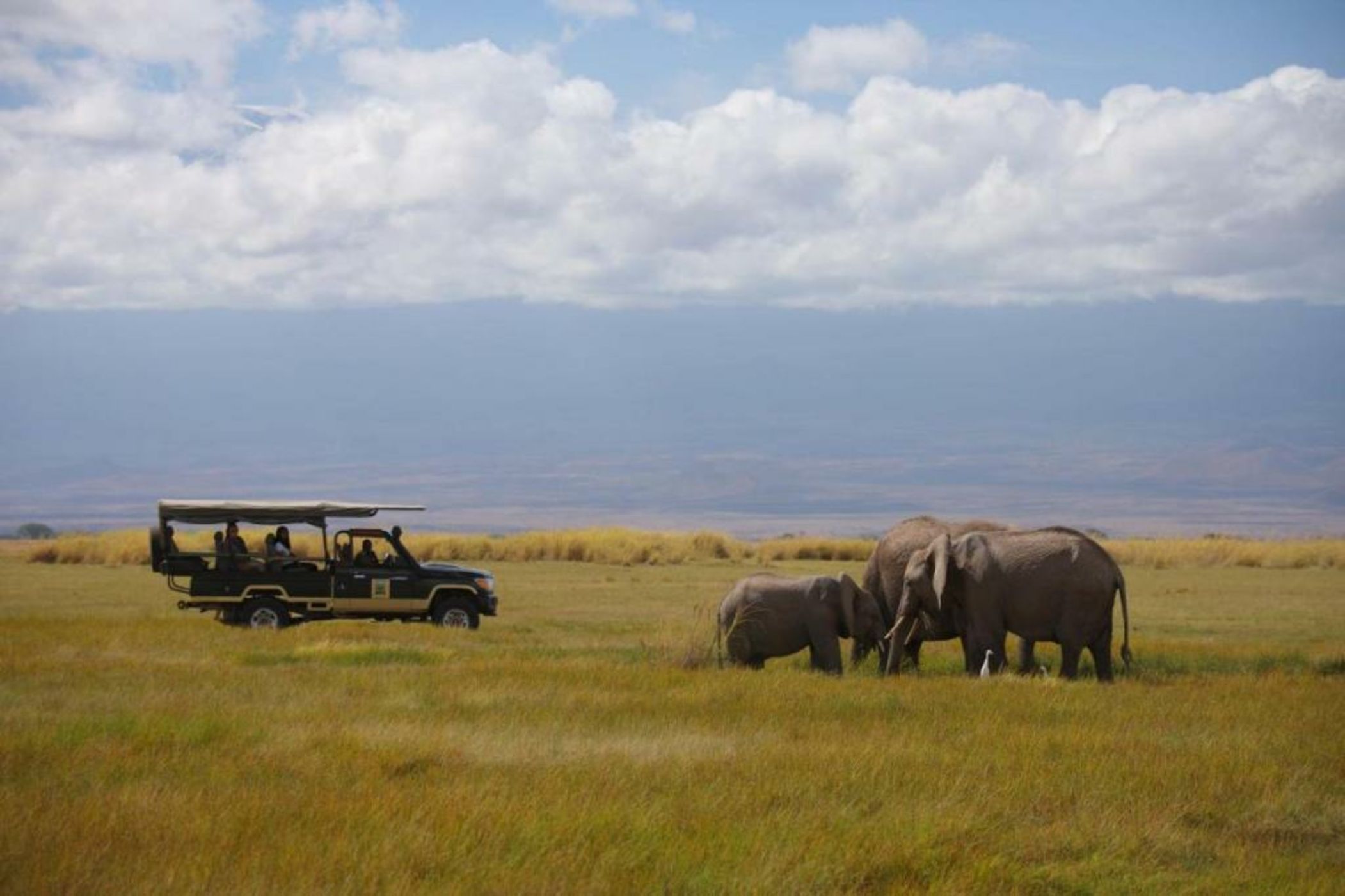 Elewana Tortilis Camp