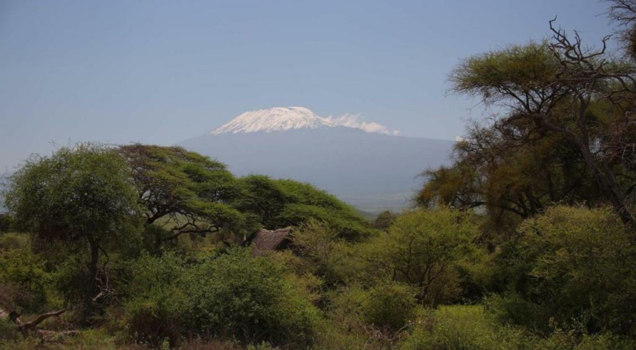 Elewana Tortilis Camp