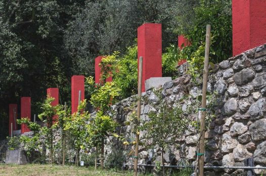 Dimora Bolsone