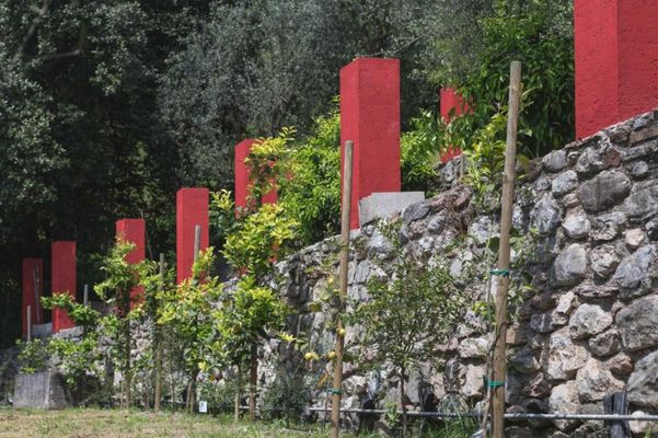 Dimora Bolsone