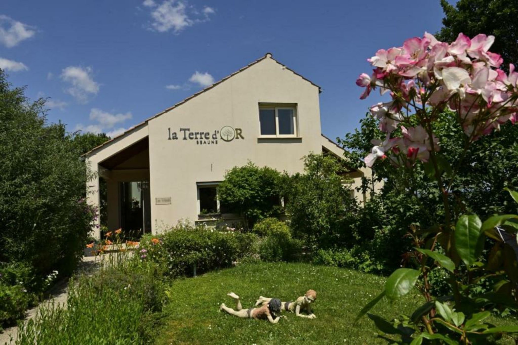 La Terre d'Or