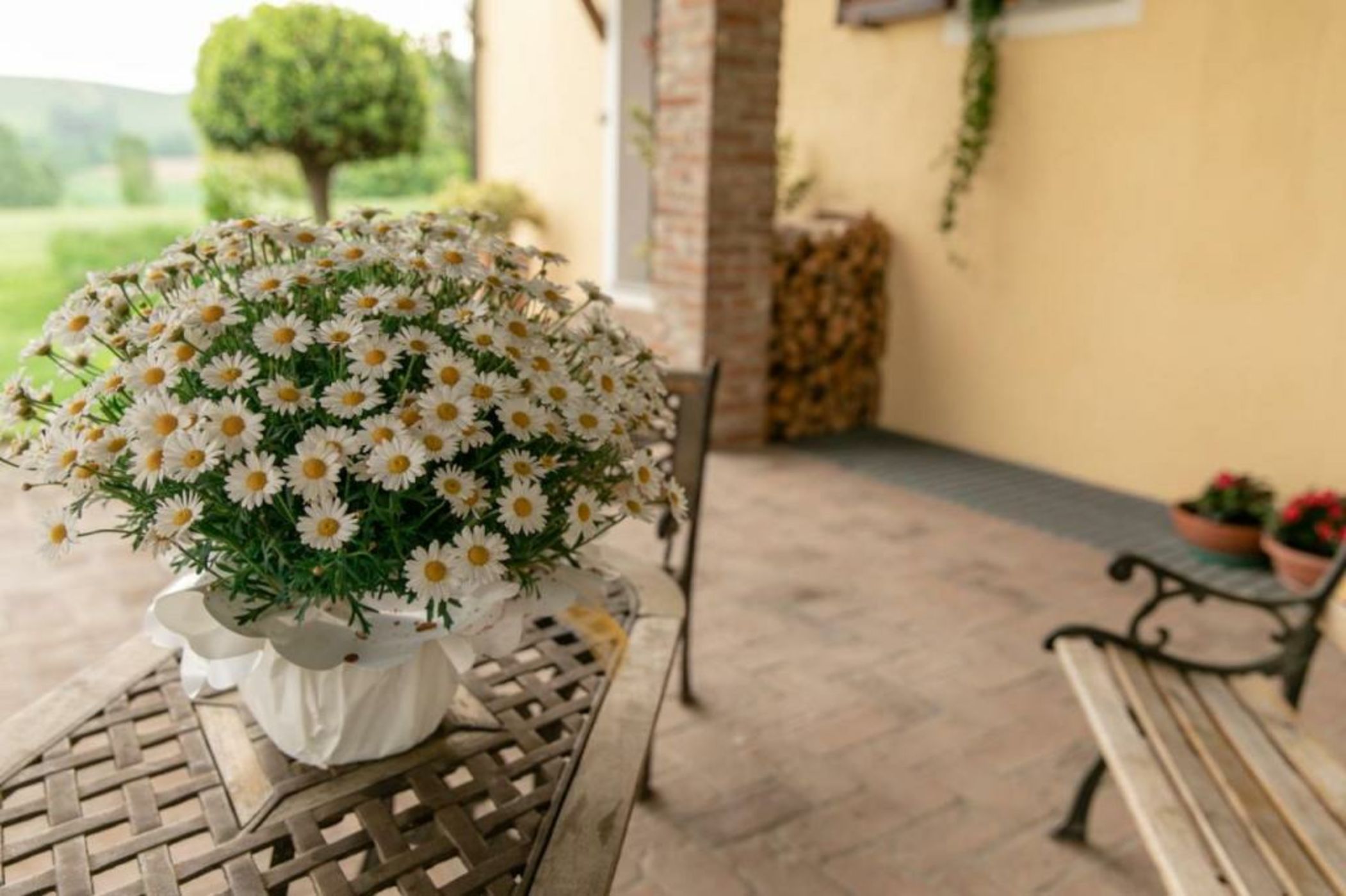 La Casa in Collina