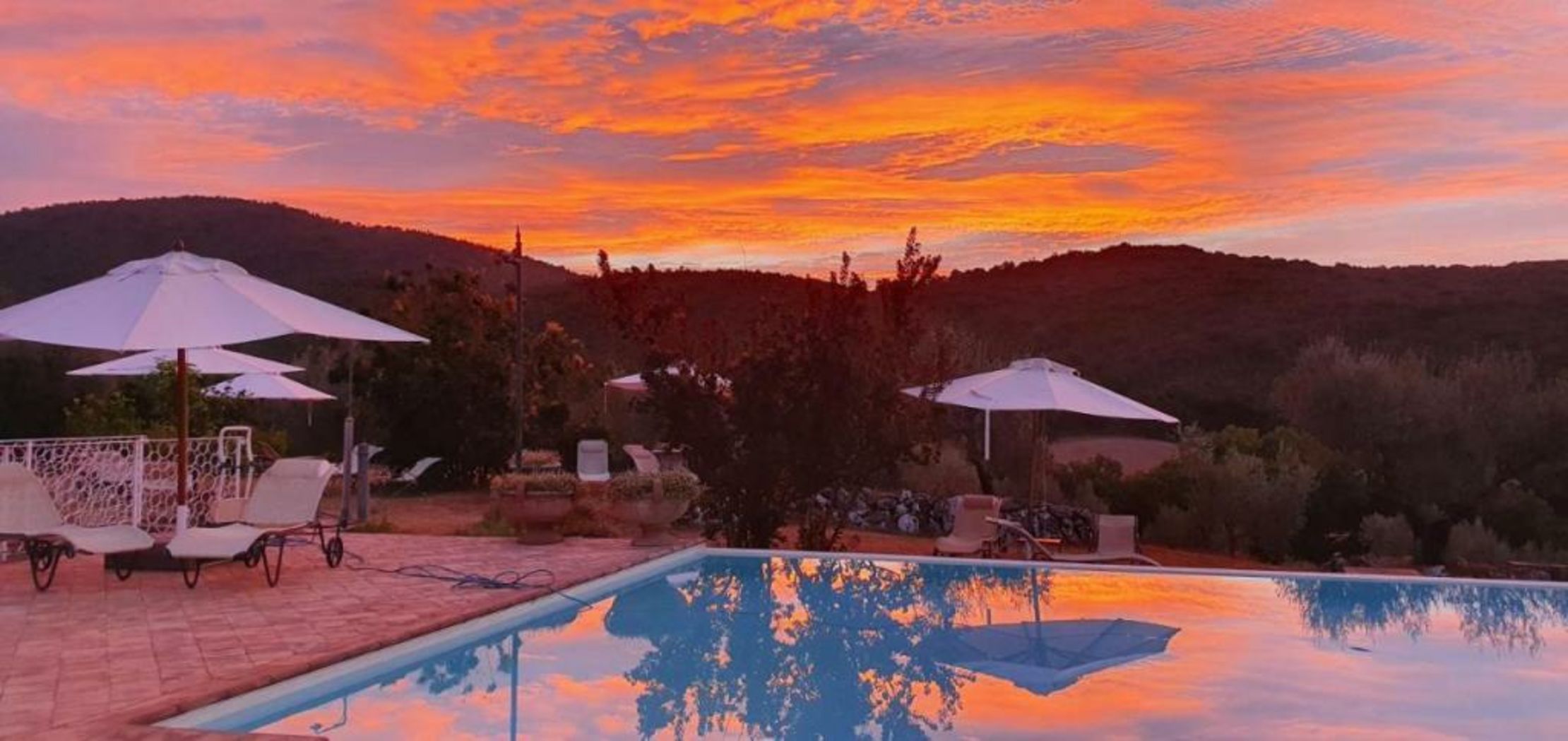 Tenuta Del Gallo