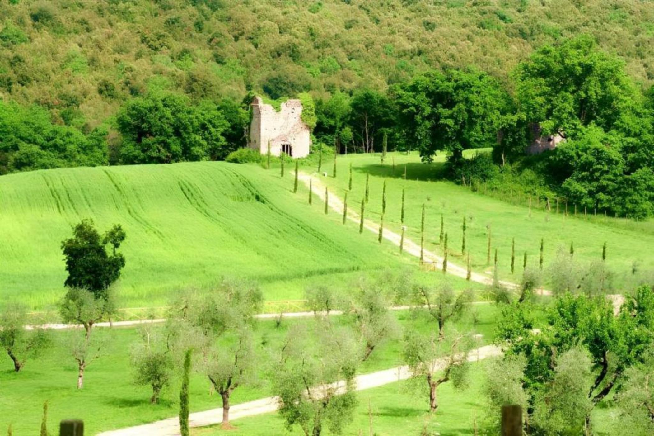 Tenuta Del Gallo