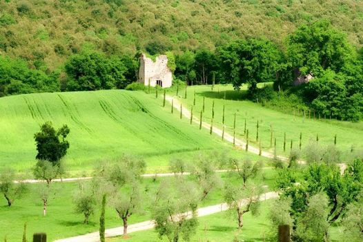 Tenuta Del Gallo