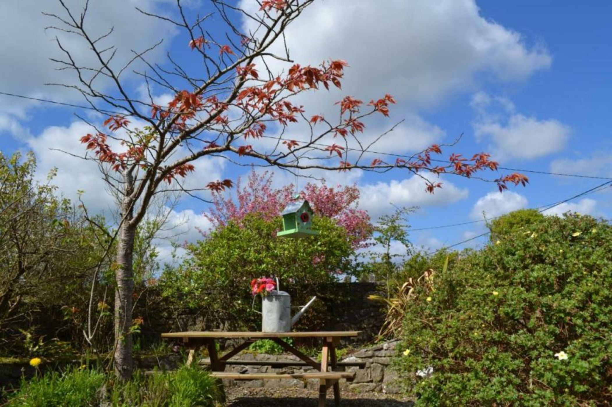 Wild Honey Inn