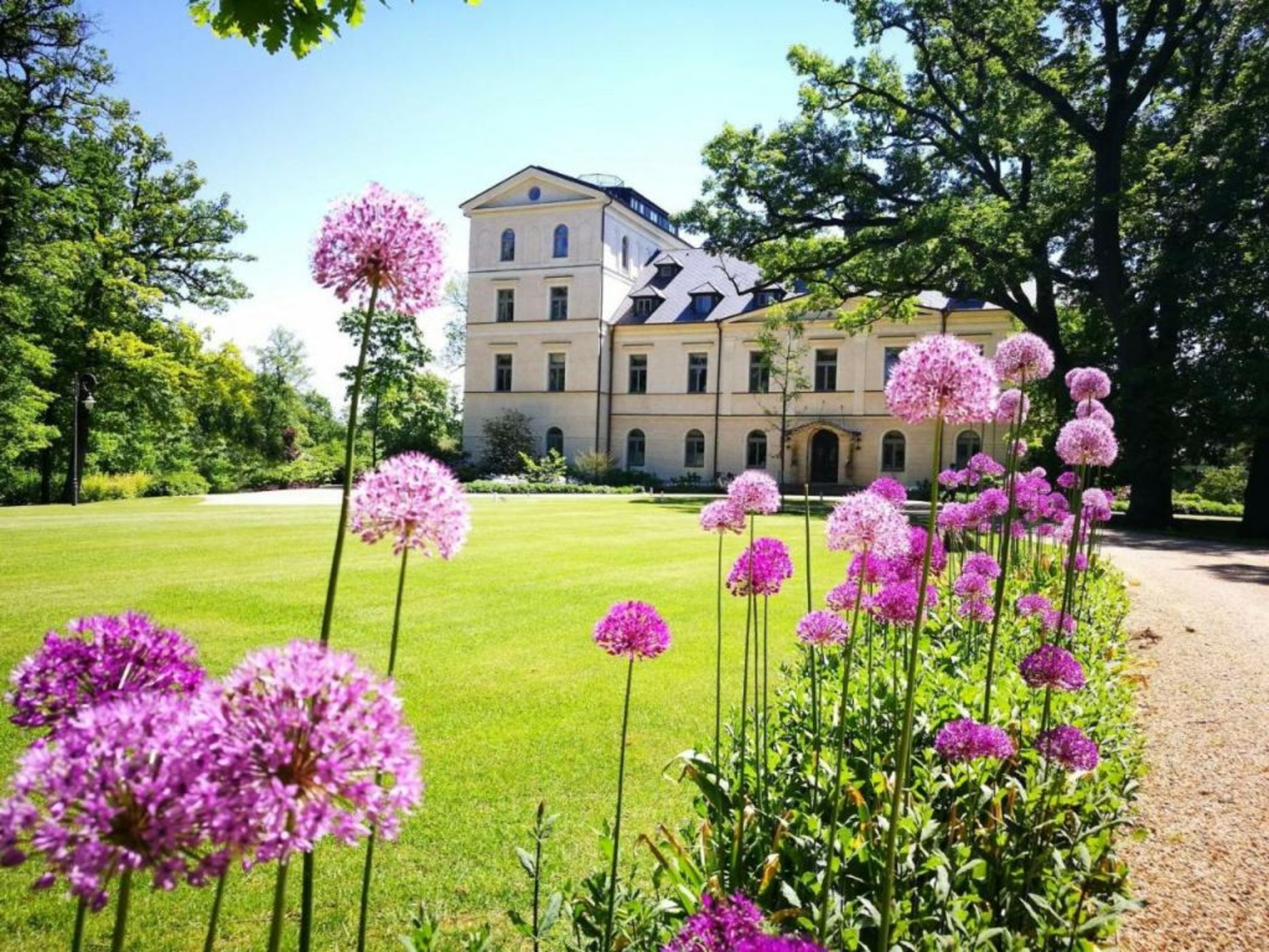 Chateau Mcely