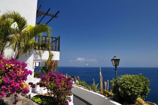Hotel Jardín Tecina