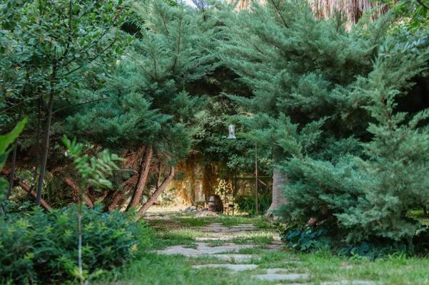 Olympos Lodge
