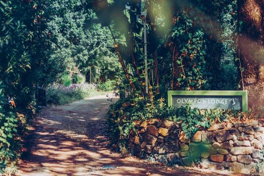 Olympos Lodge