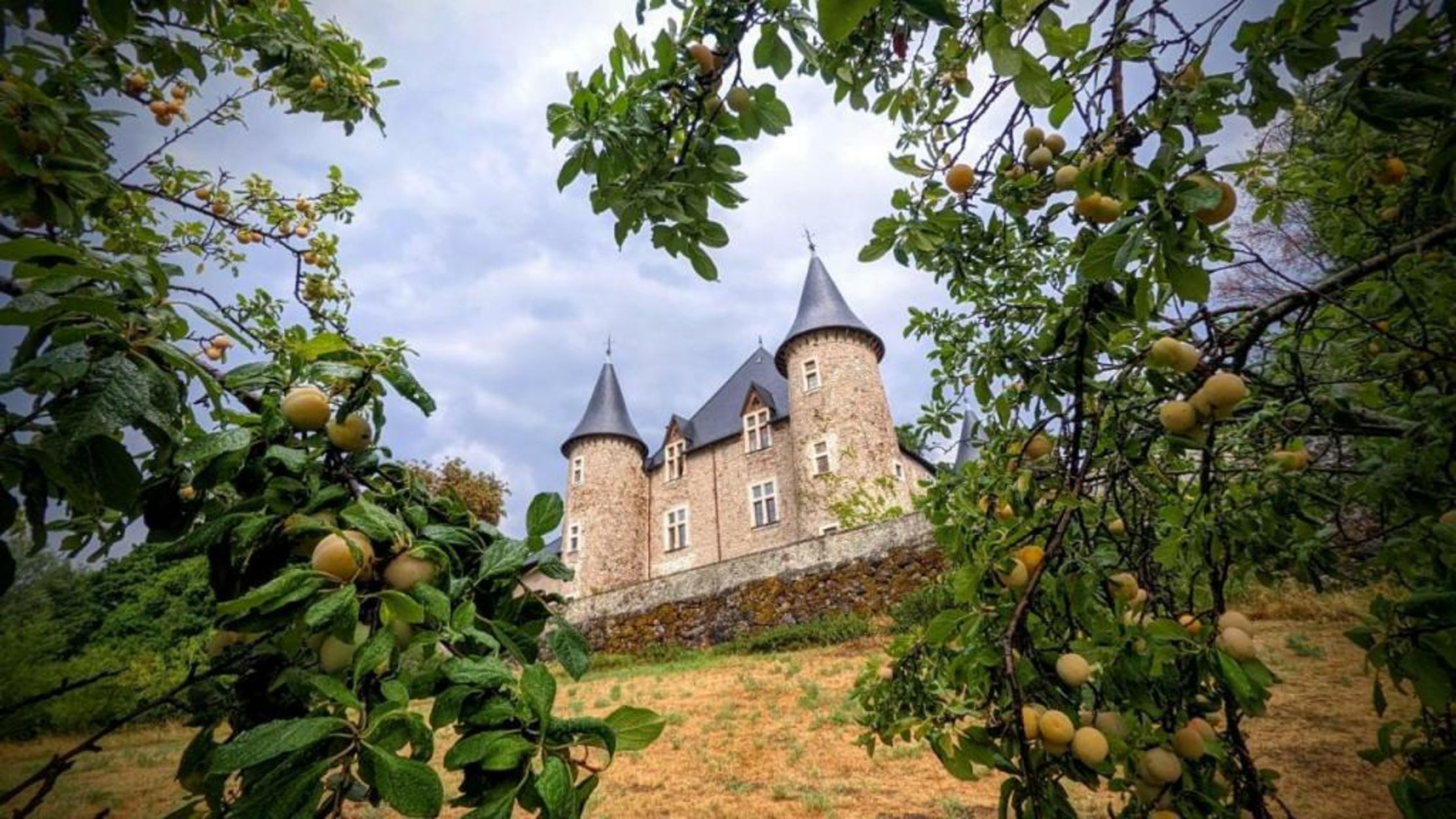 Chateau De Picomtal