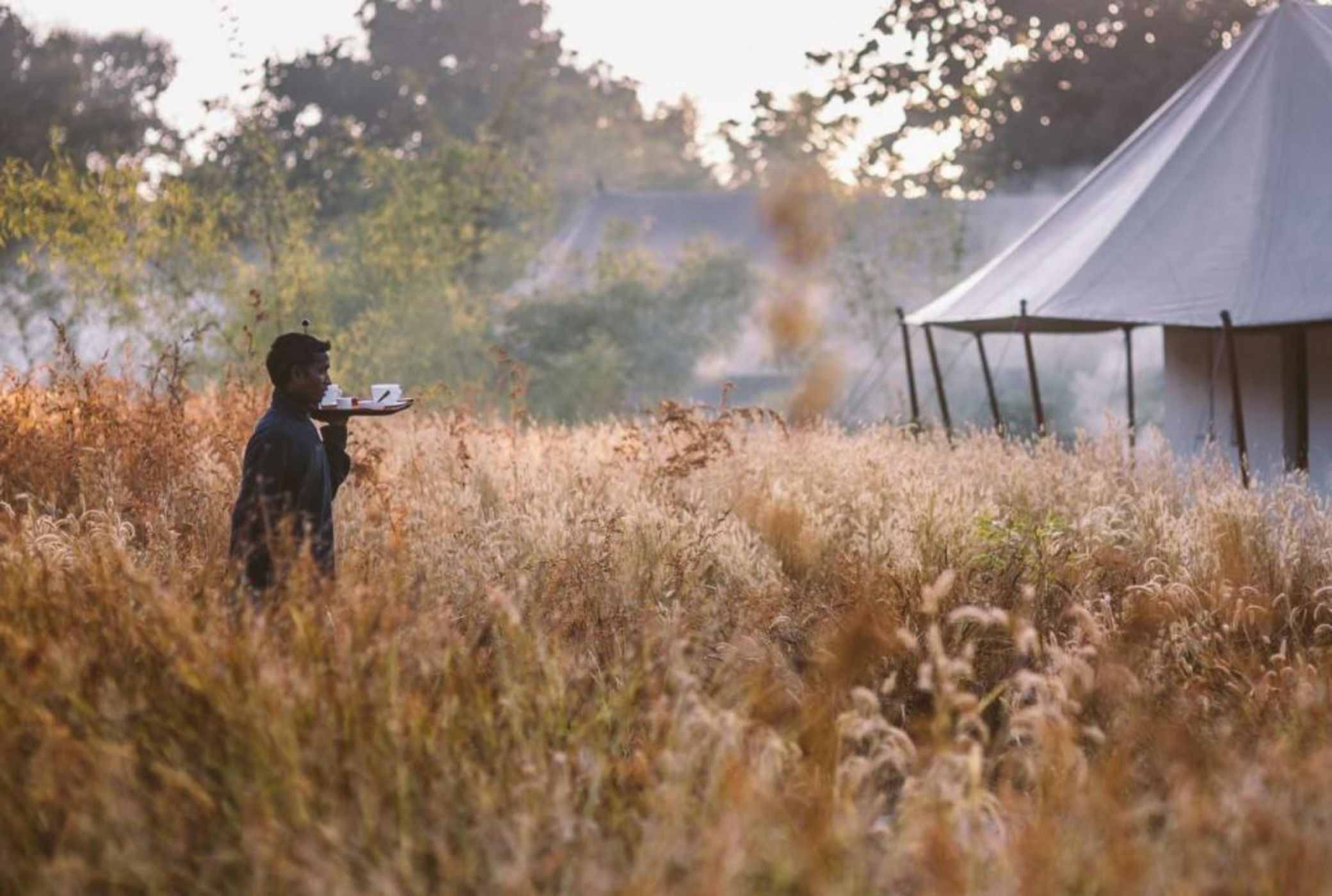 Jamtara Wilderness Camp - Pench National Park