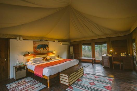 Jamtara Wilderness Camp - Pench National Park