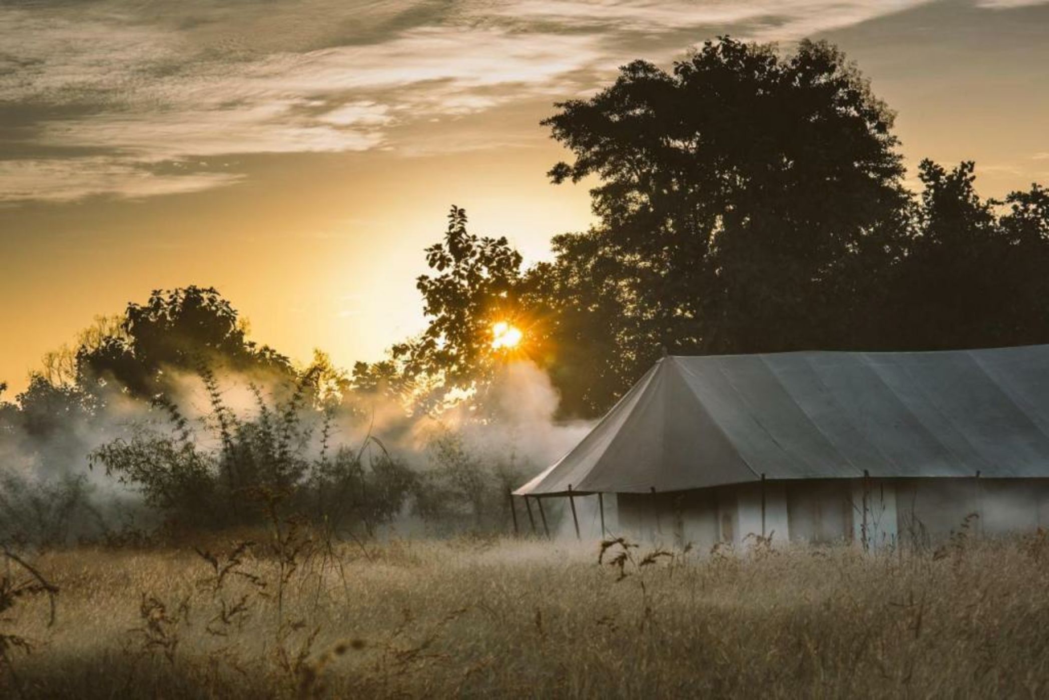 Jamtara Wilderness Camp - Pench National Park