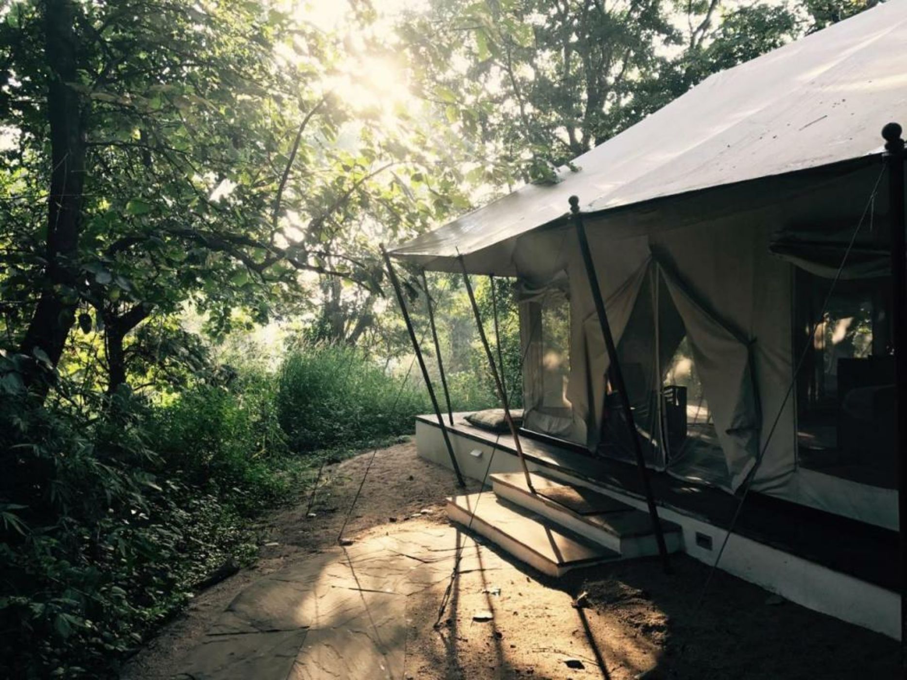 Jamtara Wilderness Camp - Pench National Park
