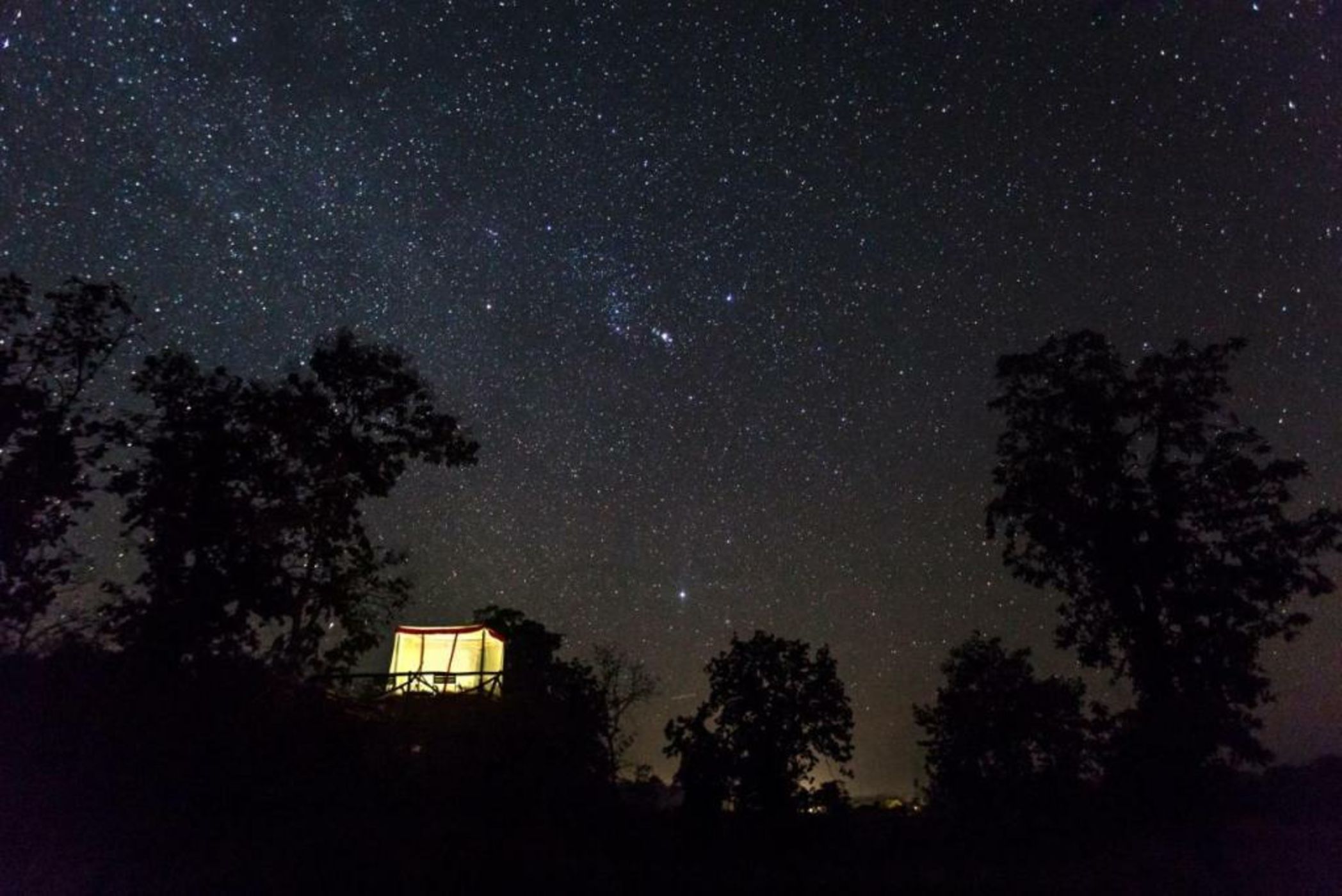 Jamtara Wilderness Camp - Pench National Park