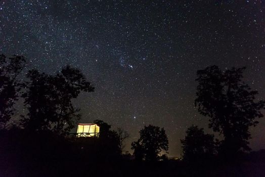 Jamtara Wilderness Camp - Pench National Park