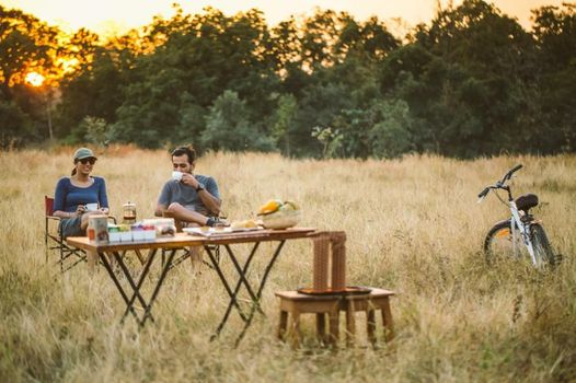 Jamtara Wilderness Camp - Pench National Park