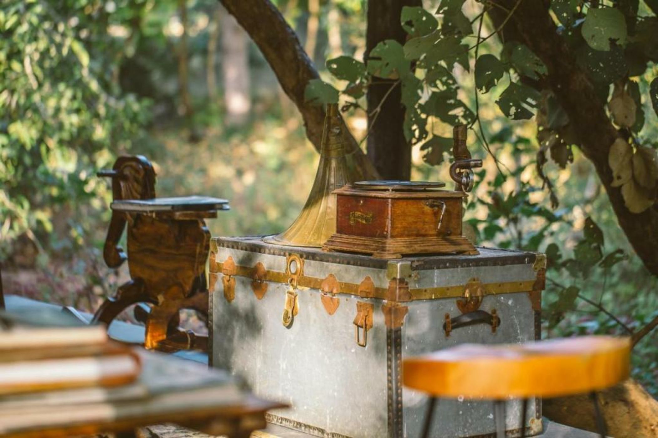 Jamtara Wilderness Camp - Pench National Park