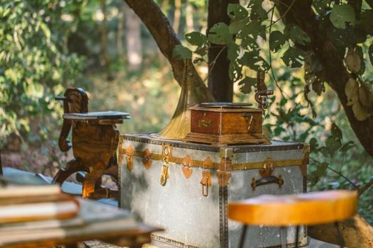 Jamtara Wilderness Camp - Pench National Park