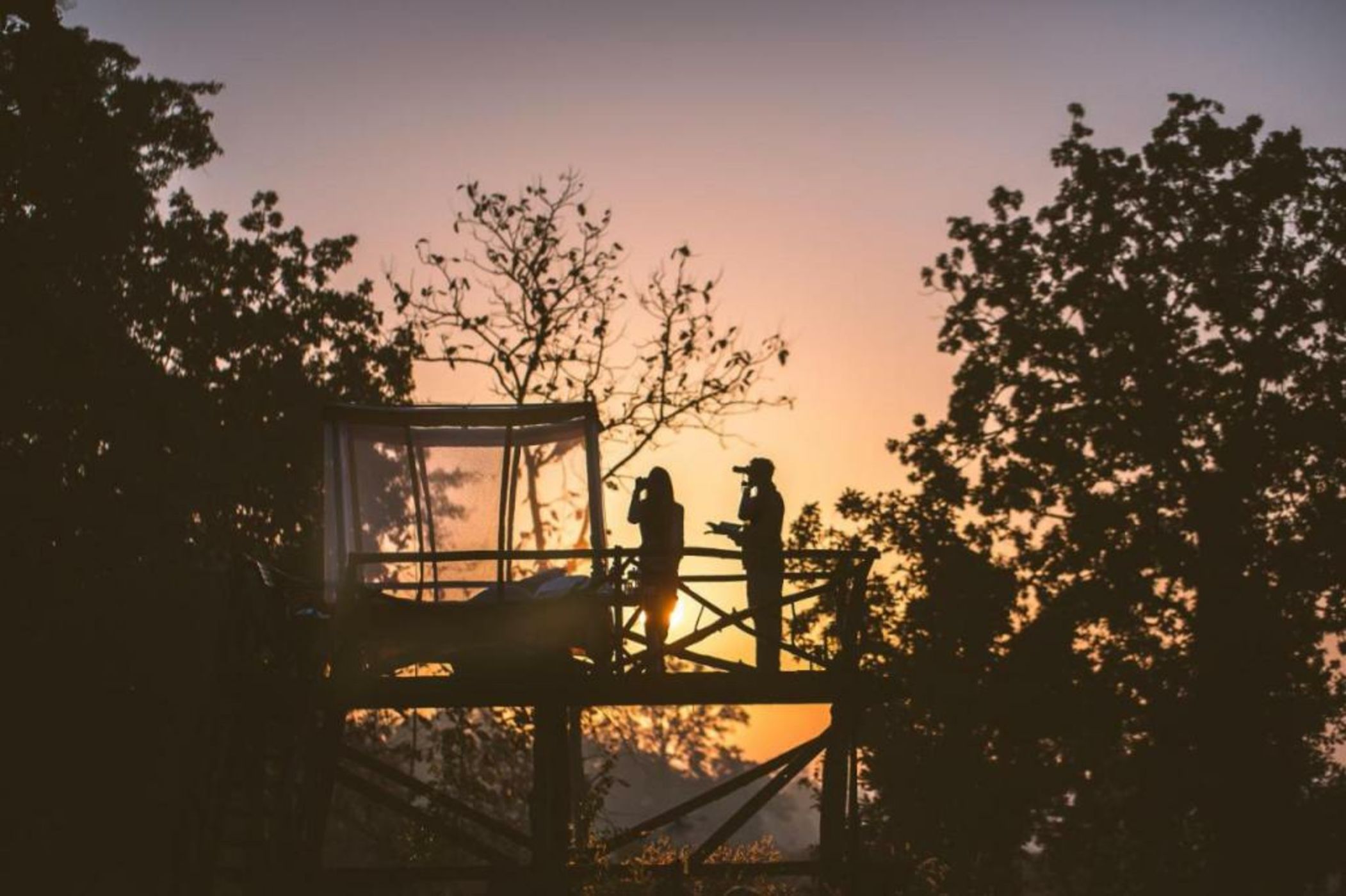 Jamtara Wilderness Camp - Pench National Park