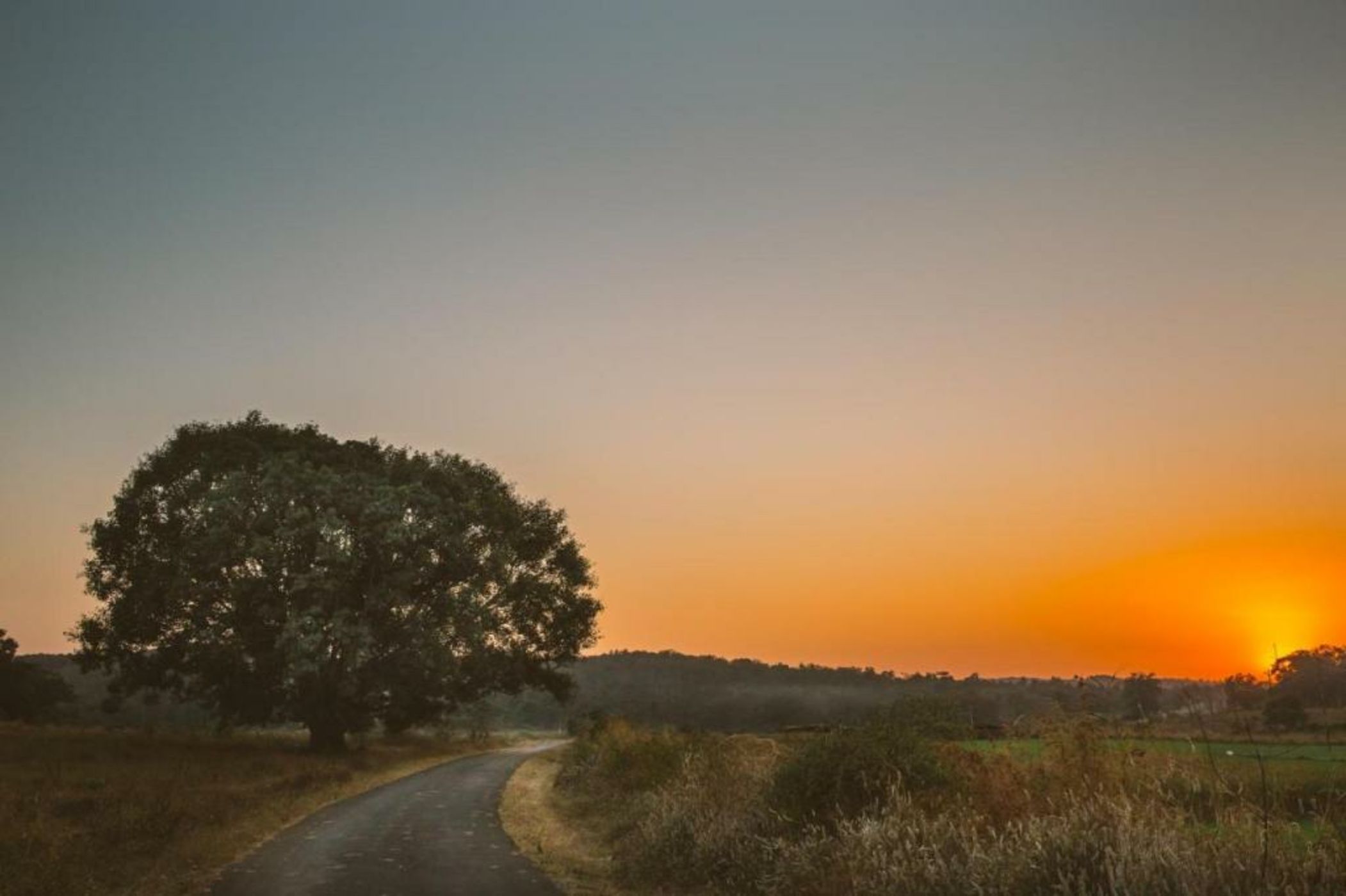 Jamtara Wilderness Camp - Pench National Park