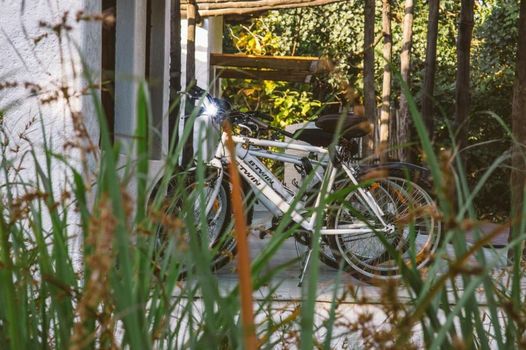 Jamtara Wilderness Camp - Pench National Park