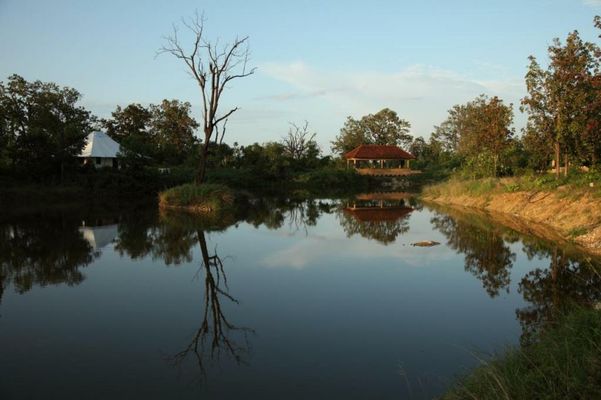 Tuli Tiger Corridor