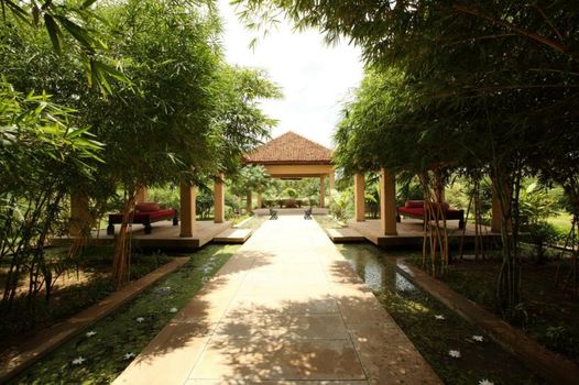 Tuli Tiger Corridor