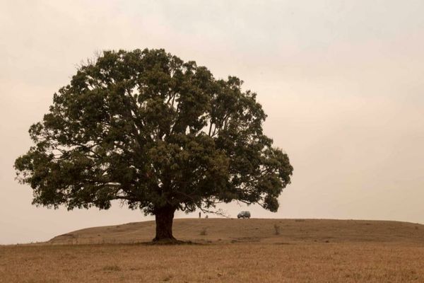 Baghvan Pench National Park - A Taj Safari Lodge
