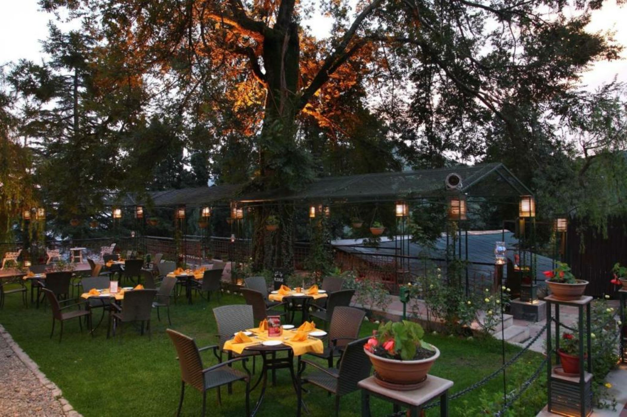 Shervani Hilltop Resort