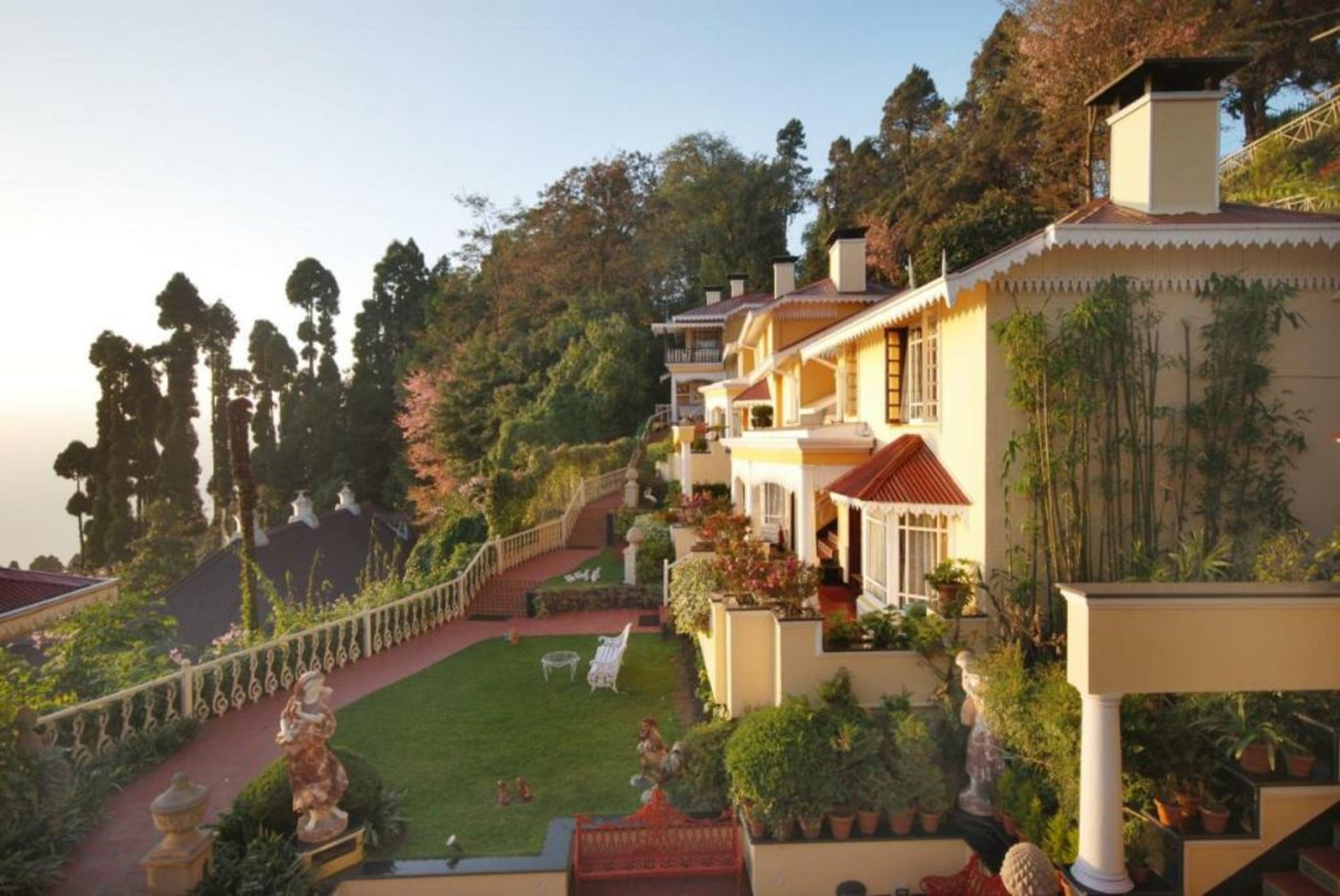 Mayfair Darjeeling