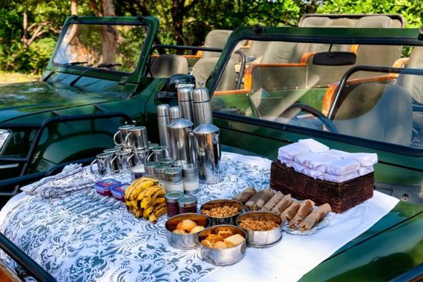 Mahua Kothi Bandhavgarh - A Taj Safari