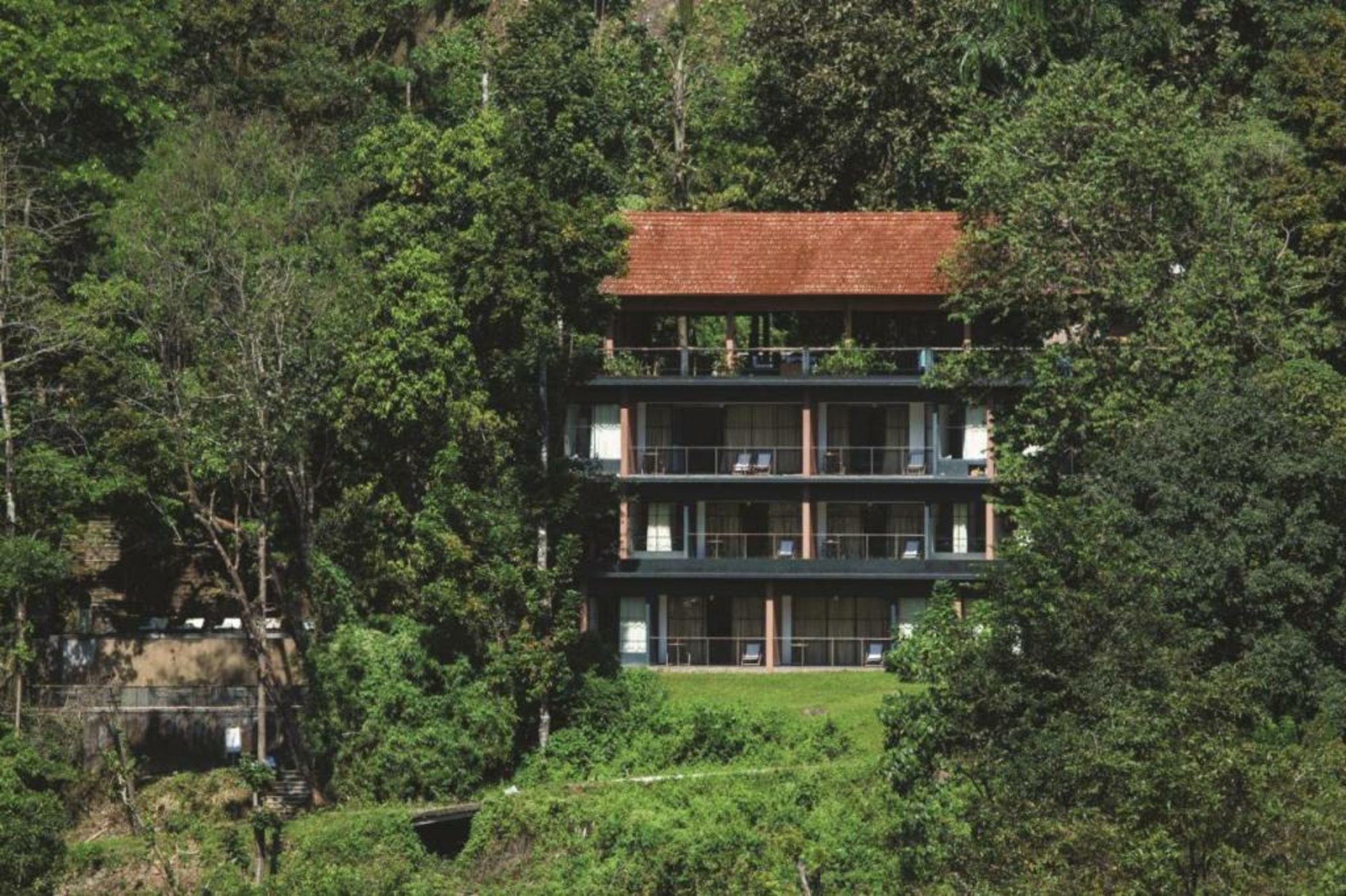 Rainforest Resort