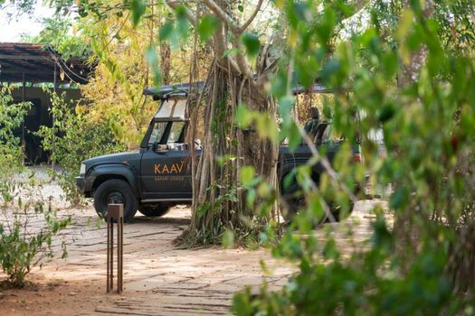 Kaav Safari Lodge, Kabini