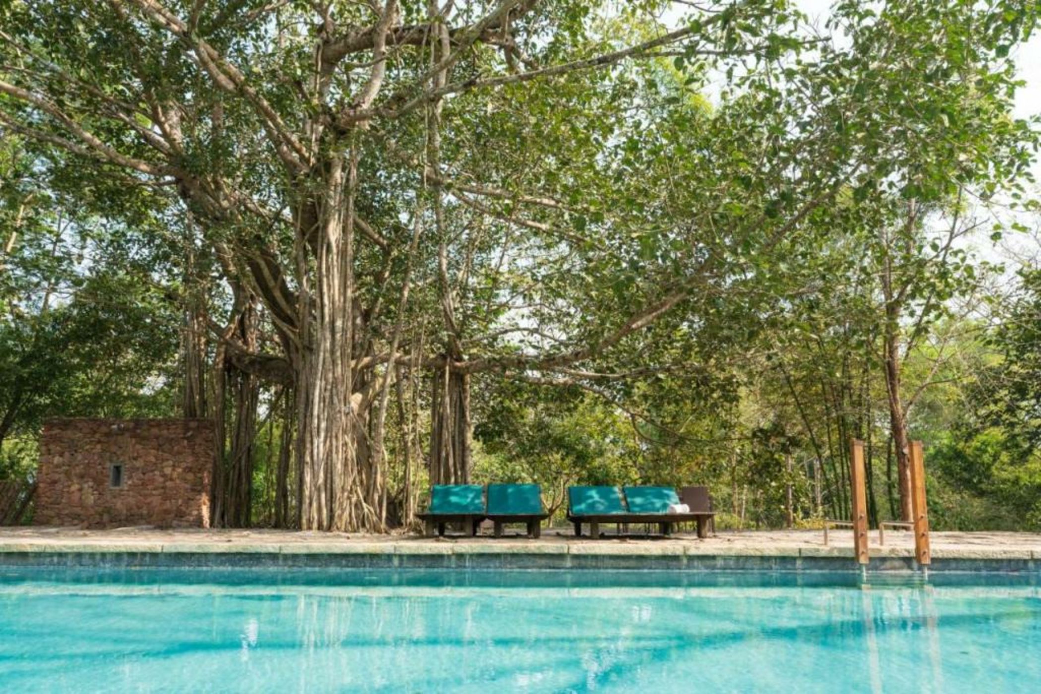 Kaav Safari Lodge, Kabini